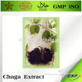 Wholesale Nutritional Supplement Chaga